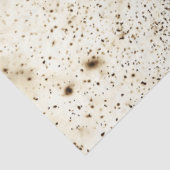 Papier Mousseline Joueur de baseball de découpage glissant Plaque d' (Détail)