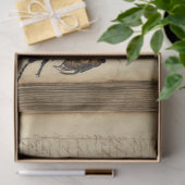 Papier Mousseline Journal Nature (Cadeau)