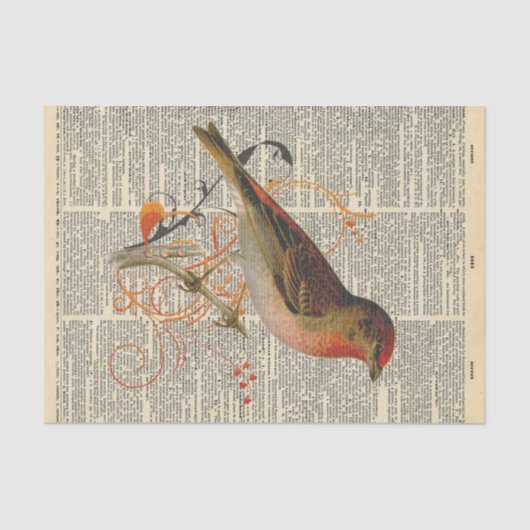 Papier Mousseline Journal vintage avec découpage d'oiseaux (Recto)