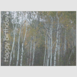 Papier Mousseline Joyeux Birthday Birch Bark Tissue Paper