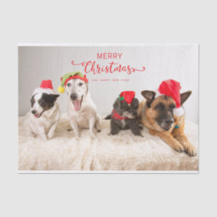 Papier Mousseline Joyeux Chiens de Noël à Santa Hats
