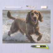 Papier Mousseline Joyeux Cocker Spaniel Beach Fun Day, (Artisanat)