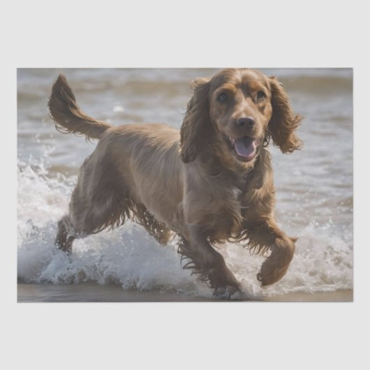 Papier Mousseline Joyeux Cocker Spaniel Beach Fun Day, (Recto)