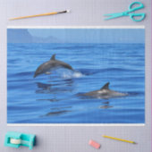 Papier Mousseline Joyeux dauphins (Artisanat)