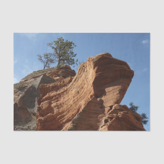 Papier Mousseline Jusqu'à Angels Landing dans le parc national de Si (Recto)