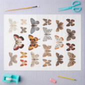 Papier Mousseline Kaleidoscope des papillons de nuit 1 papier découp (Artisanat)