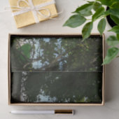 Papier Mousseline Kayaking aux îles Virgin (Cadeau)