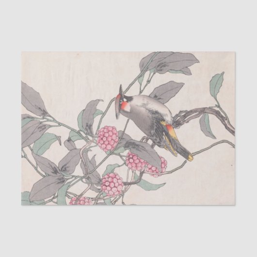 Papier Mousseline Keinen Kachō Gafu, Pl.21 par Imao Keinen (Recto)