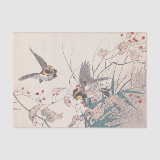 Papier Mousseline Keinen Kachō Gafu, Pl.27 par Imao Keinen (Recto)