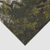 Papier Mousseline Kindred Spirits, 1849 par Asher Brown Durand (Détail)