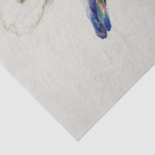 Papier Mousseline Kingfisher (par John Ruskin) (Détail)