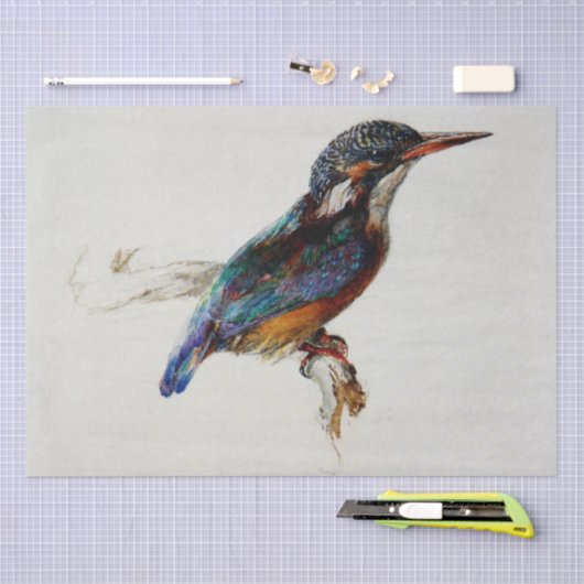 Papier Mousseline Kingfisher (par John Ruskin) (Artisanat)
