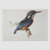 Papier Mousseline Kingfisher (par John Ruskin) (Recto)