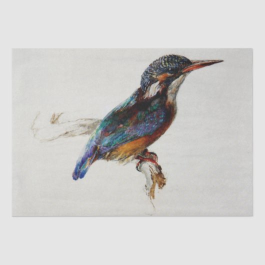 Papier Mousseline Kingfisher (par John Ruskin) (Recto)