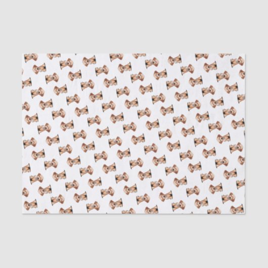 Papier Mousseline KiniArt mini Goldendoodle (Recto)