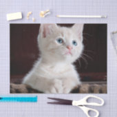 Papier Mousseline Kitten blanc vulnérable (Artisanat)