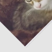 Papier Mousseline Kitten Découpage Papier d'artisanat mobilier Chat (Détail)