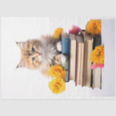 Papier Mousseline Kitten sur pile de livres 1 papier découpage (Recto)