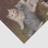 Papier Mousseline Kittens par Sophie Sperlich (Détail)