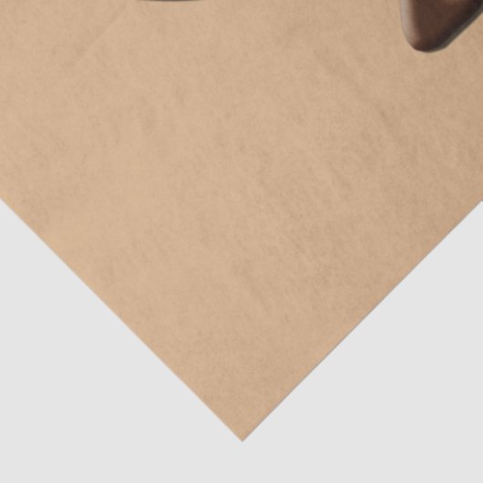 Papier Mousseline Kokopelli Golden Sun Découpage brun (Détail)