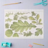 Papier Mousseline Konversations feuilles (1894) Ephemera Decoupage (Artisanat)