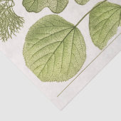 Papier Mousseline Konversations feuilles (1894) Ephemera Decoupage (Détail)