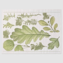 Konversations feuilles (1894) Ephemera Decoupage