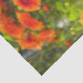 Papier Mousseline La chenille d'Asters (Détail)