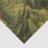 Papier Mousseline La Constitution américaine (Détail)