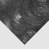 Papier Mousseline La Dame Noire et Blanche (Détail)