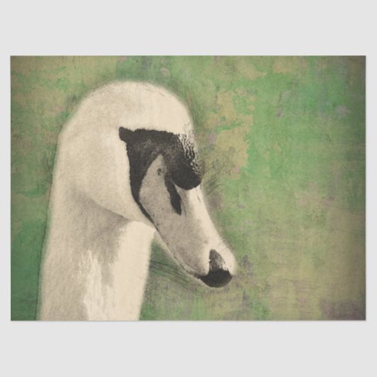 Papier Mousseline La dernière page de découpage du cygne (Recto)