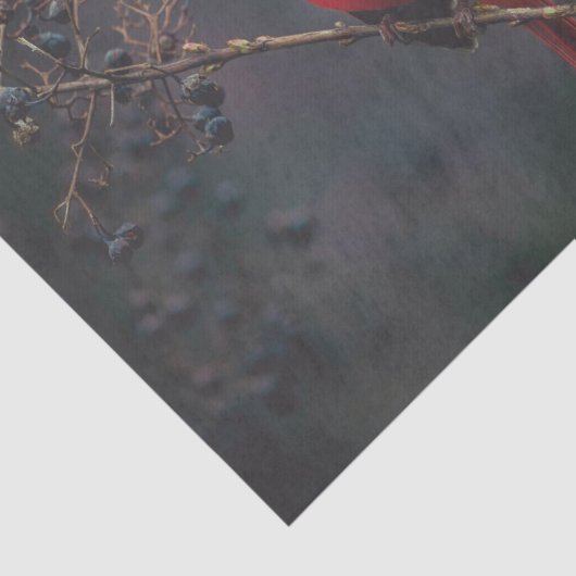 Papier Mousseline La faune cardinale exotique rouge (Détail)