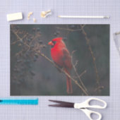 Papier Mousseline La faune cardinale exotique rouge (Artisanat)