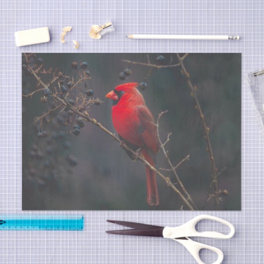 Papier Mousseline La faune cardinale exotique rouge (Artisanat)