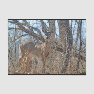 Papier Mousseline La faune Deer Woods 
