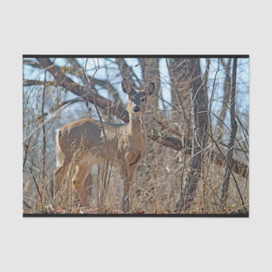 Papier Mousseline La faune Deer Woods (Recto)