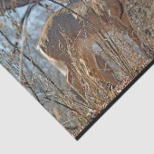 Papier Mousseline La faune Deer Woods (Détail)