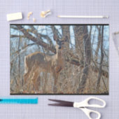 Papier Mousseline La faune Deer Woods (Artisanat)