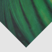 Papier Mousseline La Feuille verte Forêt tropicale Nature Photo (Détail)