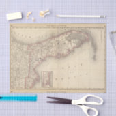 Papier Mousseline La Floride 10 (Artisanat)