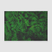 Papier Mousseline La forêt de Dinosaur (Recto)