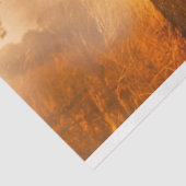 Papier Mousseline La forêt de lions au-dessus de la décomposition de (Détail)