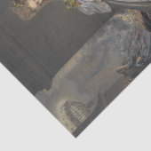 Papier Mousseline La Frayeur (Fear) by Pierre-Louis Pierson (Détail)