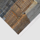 Papier Mousseline La lanterne (Détail)