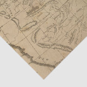 Papier Mousseline La Louisiane 12 (Détail)