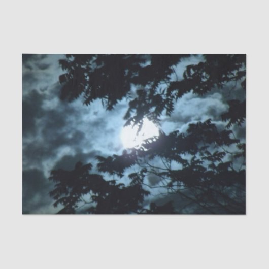 Papier Mousseline La lune illumine la nuit derrière des branches (Recto)