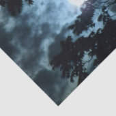 Papier Mousseline La lune illumine la nuit derrière des branches (Détail)