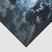 Papier Mousseline La Lune illumine la nuit derrière les branches des (Détail)