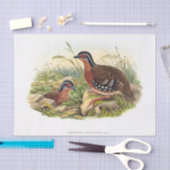 Papier Mousseline La perdrix à poitrine rouge Découpage (Artisanat)