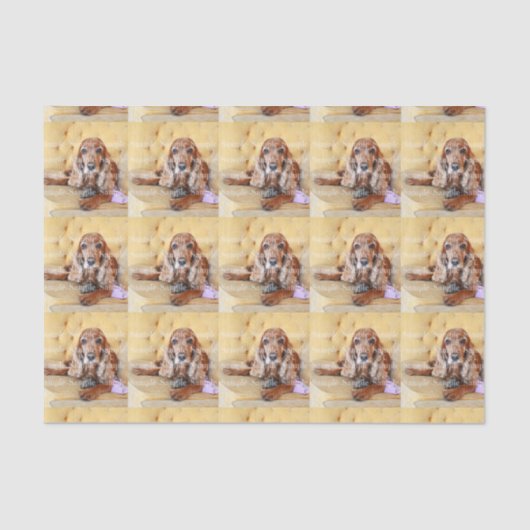 Papier Mousseline La photo commémorative d'animal familier (Recto)